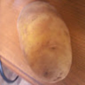 Meet your Posher, Joseph